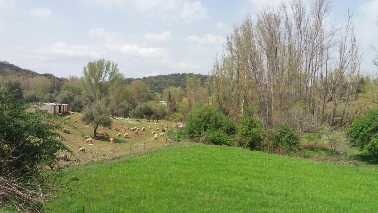 Casa Rural El Jardin Del Hueznar San Nicolás del Puerto Exteriör bild